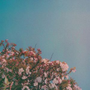 国产JIZZ🈵️18高清视频
